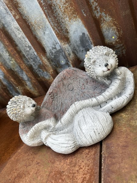 Svamp format fat / fågelbad med igelkottar