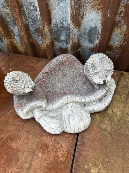 Svamp format fat / fågelbad med igelkottar