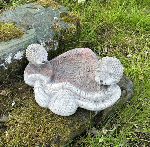 Svamp format fat / fågelbad med igelkottar