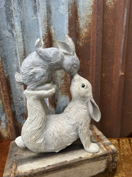 Gulligt nos pussande kanin par att dekorera med