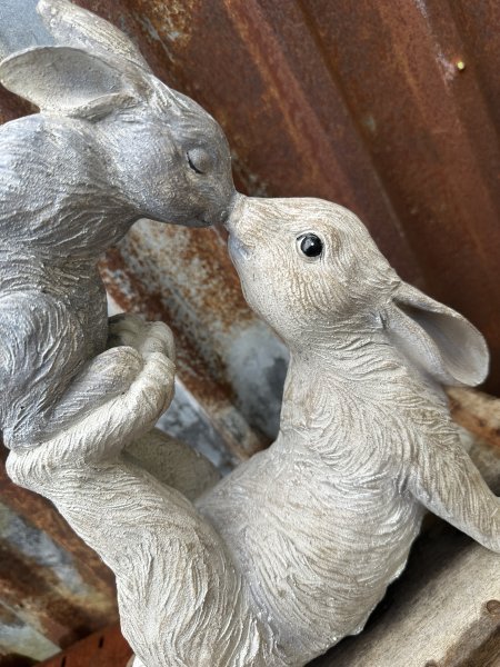 Gulligt nos pussande kanin par att dekorera med