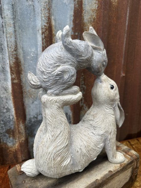 Gulligt nos pussande kanin par att dekorera med