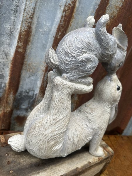 Gulligt nos pussande kanin par att dekorera med