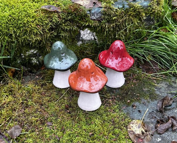 Svamp med färgad hatt