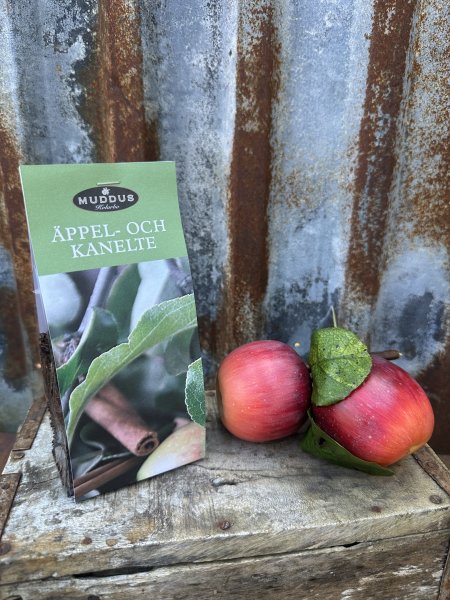 Äpple och Kanel Te
