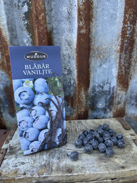 Te med smak av blåbär och vanilj 