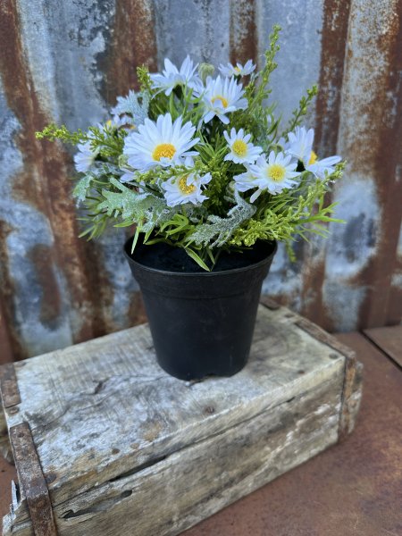 Svart kruka för blommor 