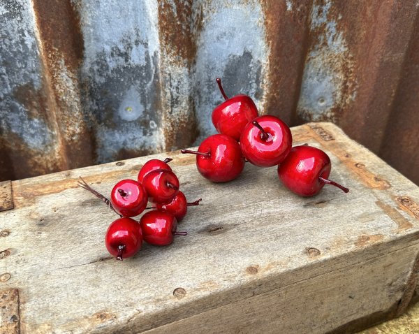 Röda äpplen på stick att dekorera med 