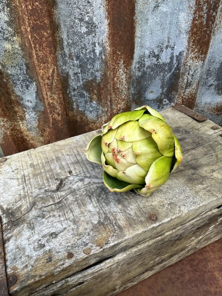 Kronärtskocka grön att dekorera med