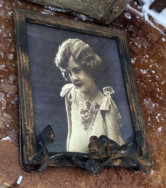 Antik fotoram i rost med fåglar 