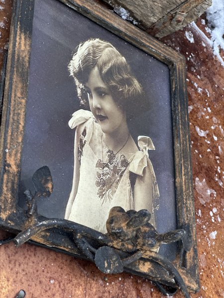 Antik fotoram i rost med fåglar 