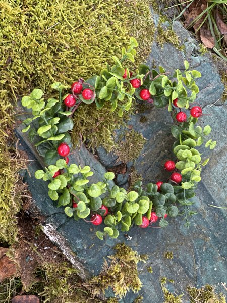 Grön krans med röda lingon och gröna blad