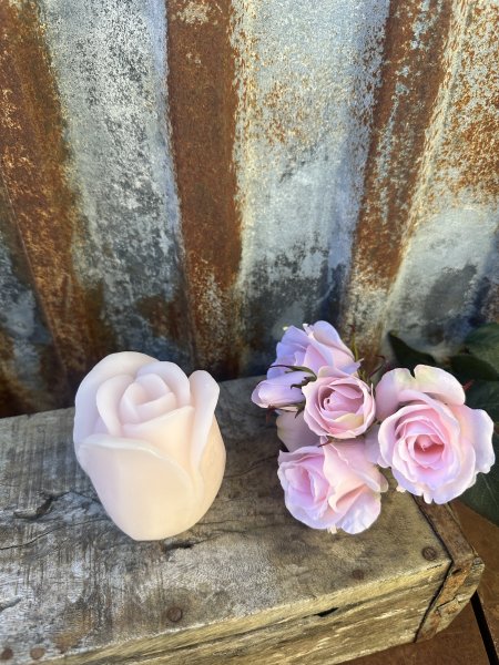 Rosa ros med belysning