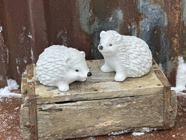 Vit vinter igelkott med frost glitter