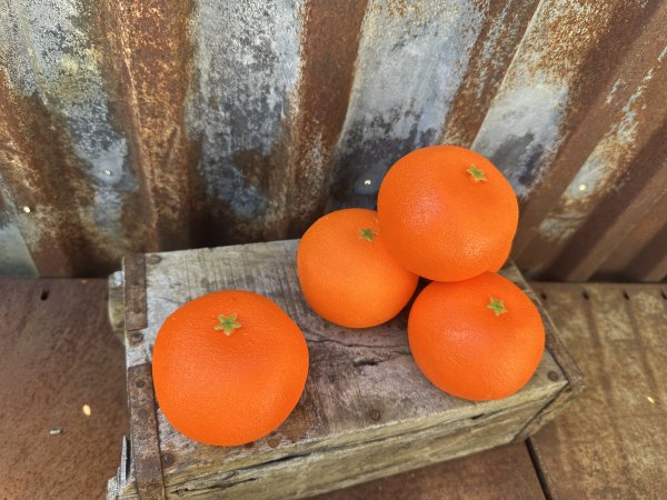 Mandarin / clementin i konstgjord modell