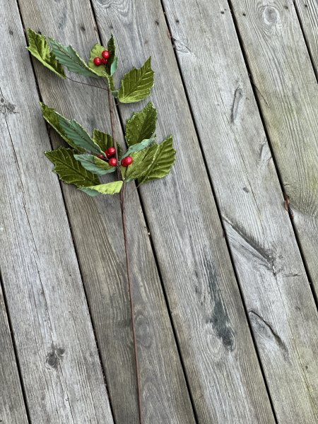 Järnek med sammets gröna blad glitter och röda bär