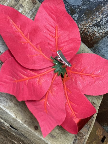 Röd julstjärna på nypa 