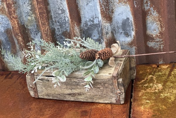 Vinter kvist med gröna grenar kottar och rosett