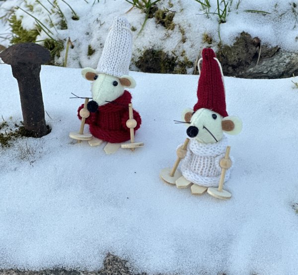 Söt filt mus som åker skidor