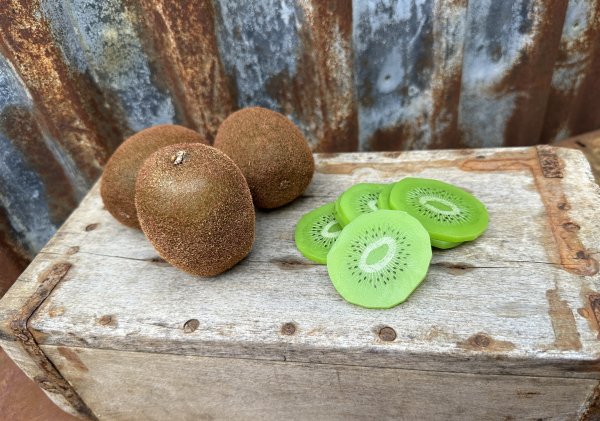 Kiwi skiva att dekorera med