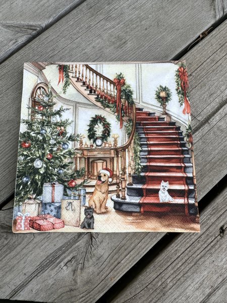 Servetter julafton med hundar 