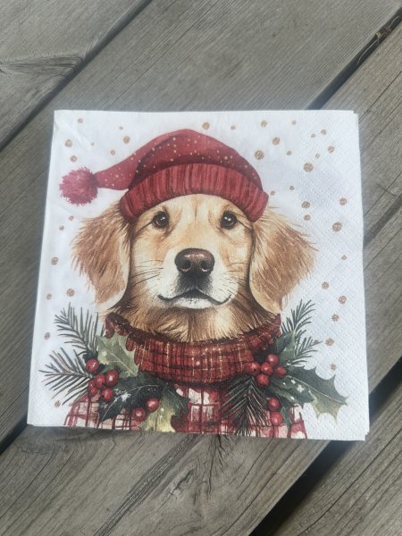 Servetter jul / vinter med hund 