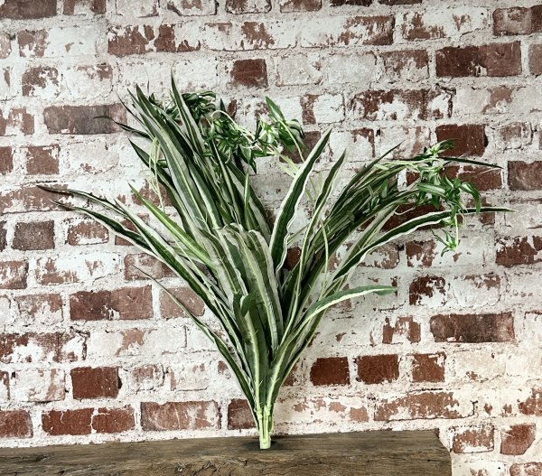 Grön blad växt / blomma Clorophyton i bukett modell