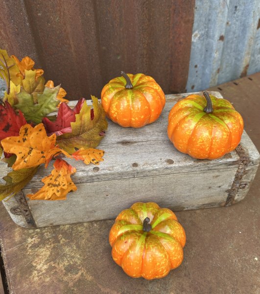 Orange pumpa att dekorera med 