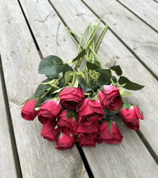 Röd ros med gröna blad