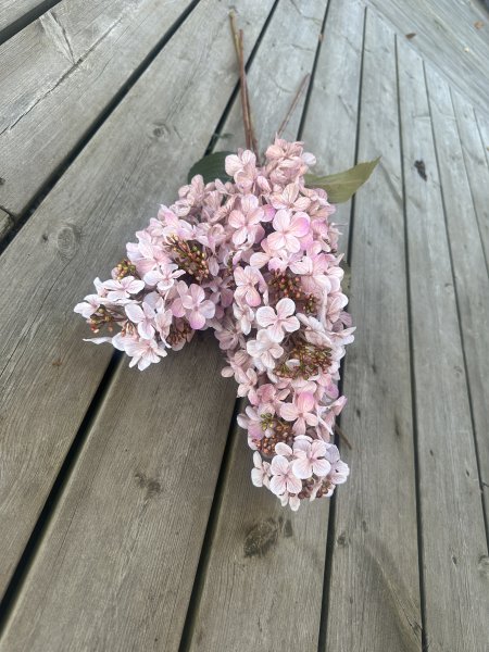 Höst rosa Hortensia i större modell 