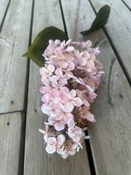 Höst rosa Hortensia i större modell 