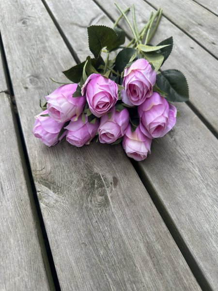 Klassisk ros med gröna blad i mixade nyanser
