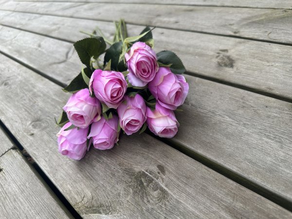 Klassisk ros med gröna blad i mixade nyanser