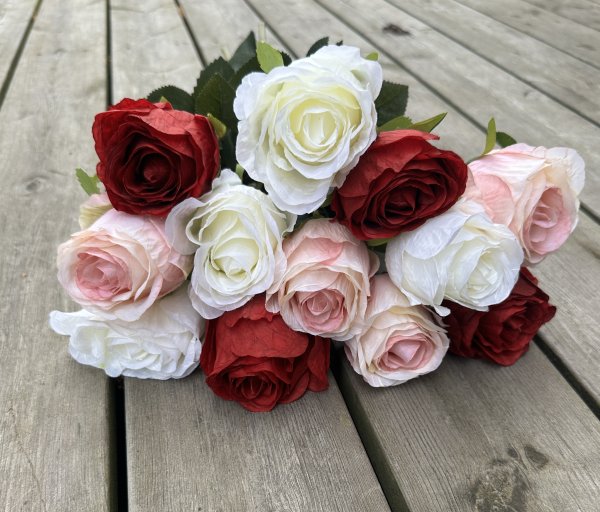 Röd ros med gröna blad och större blomma