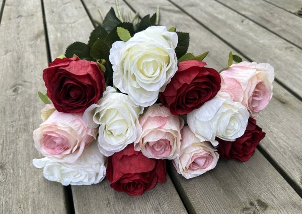 Röd ros med gröna blad och större blomma