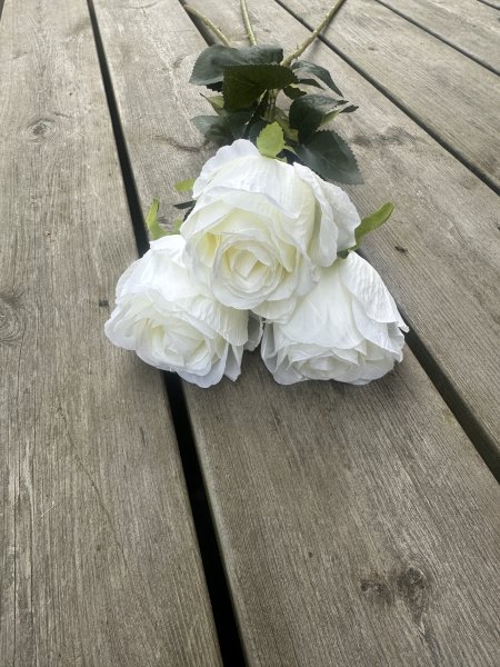 Vit ros med gröna blad och större blomma