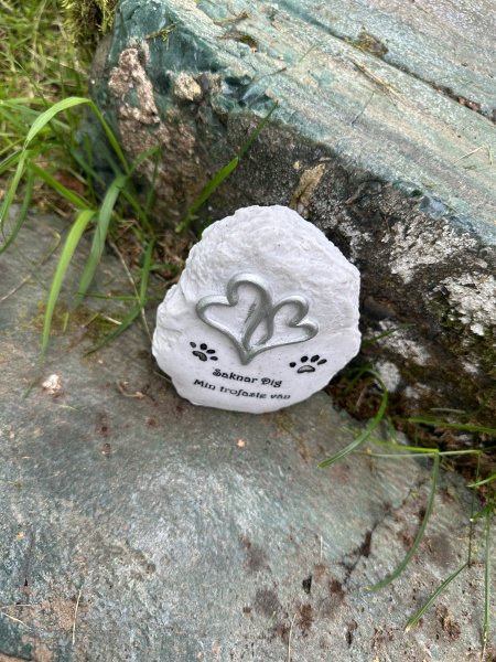 Grav / minnessten trofaste vän med text och hjärta