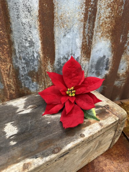 Röd julstjärna på nypa