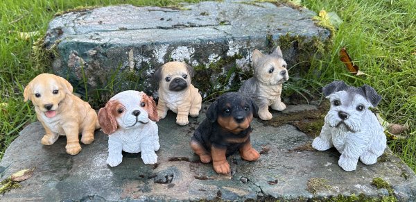 Söt och gullig hundvalp att dekorera med