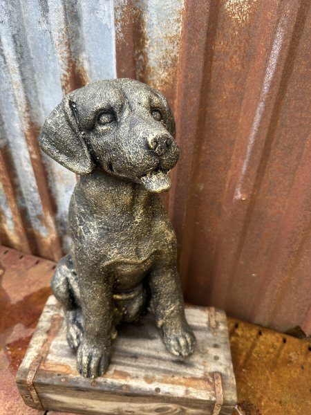 Stor sittande hund Labrador i antik guld 