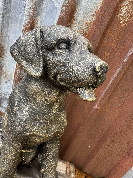 Stor sittande hund Labrador i antik guld 