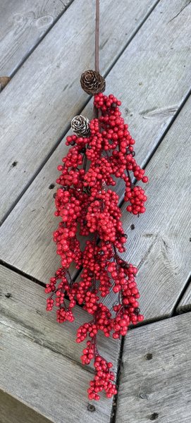 Stor gren med kottar och röda bär