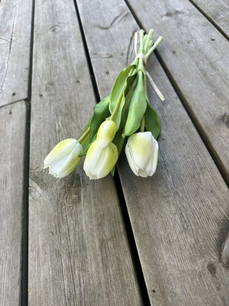 Bukett med vita tulpaner med gröna blad