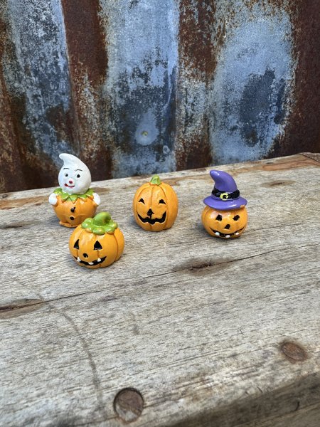 Liten Halloween pumpa att dekorera med