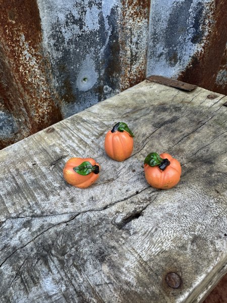 Orange mini pumpa att dekorera med Designad Camilla Ståhl