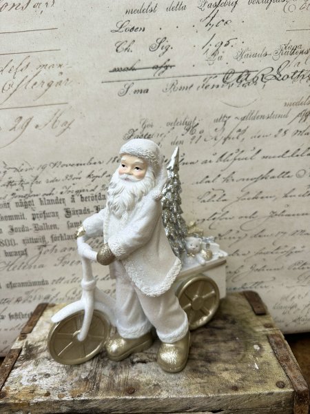 Vacker och elegant vit tomte med cykel och belysning.