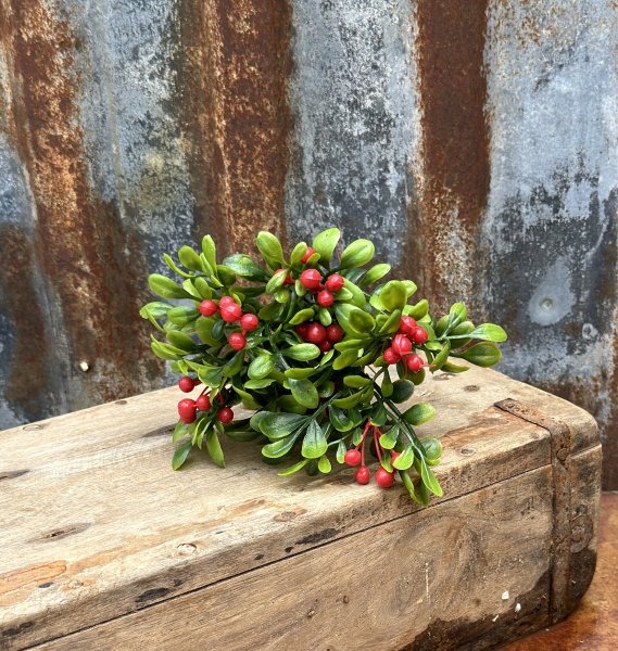 Lingon kvist med röda bär och gröna blad 