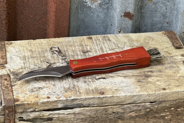 Svampkniv fällbar med handtag i trä och borste