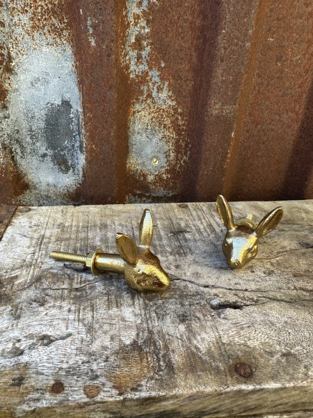 Knopp / hängare i guld kanin