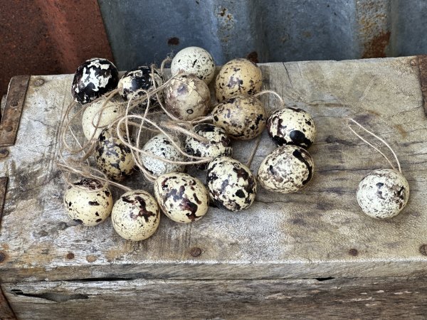 Lantliga natur ägg med snöre att hänga 18-pack